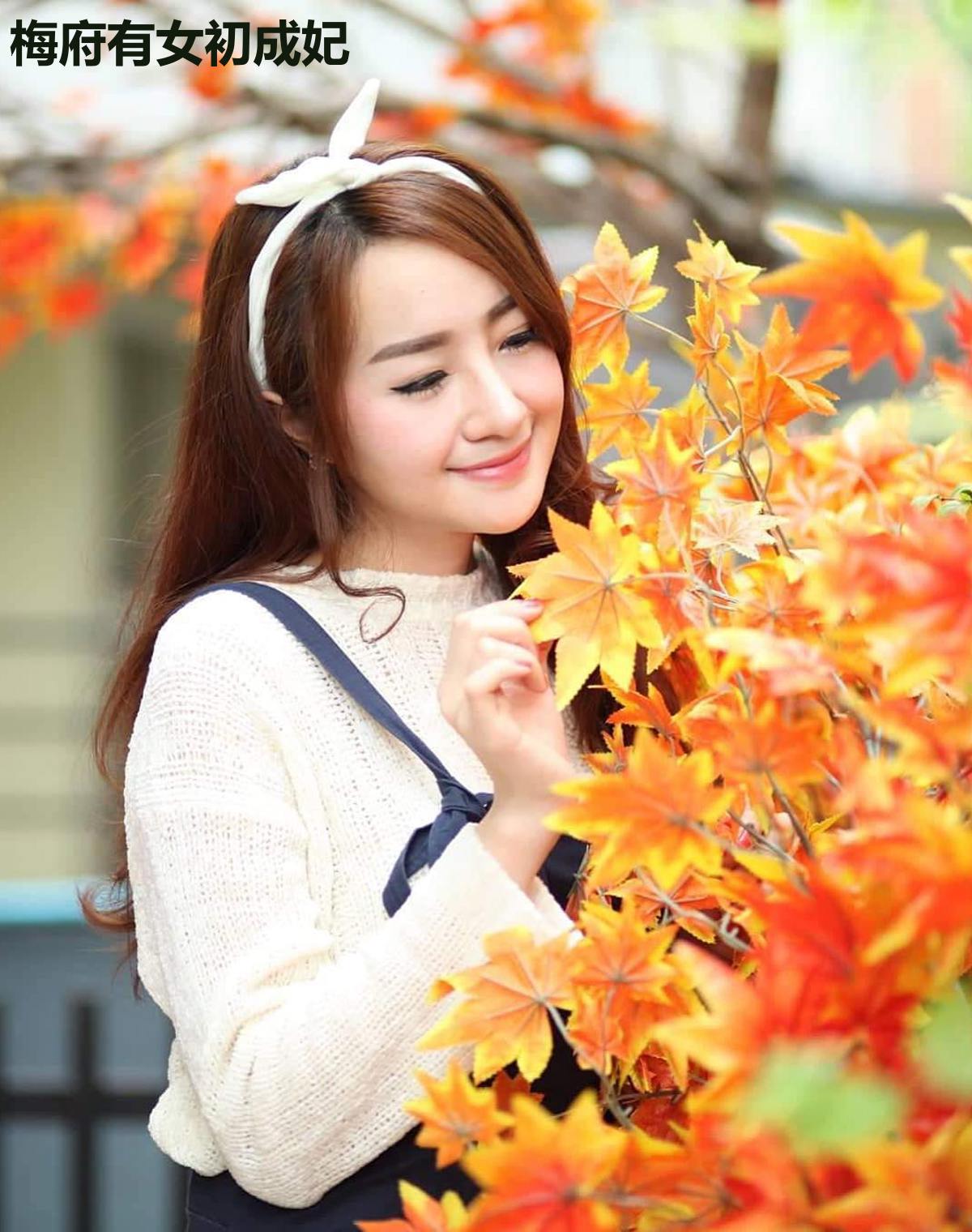梅府有女初成妃