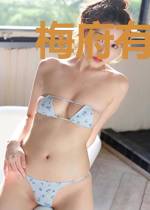 梅府有女初成妃