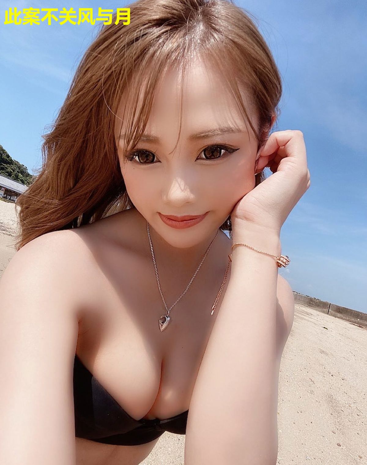 此案不关风与月