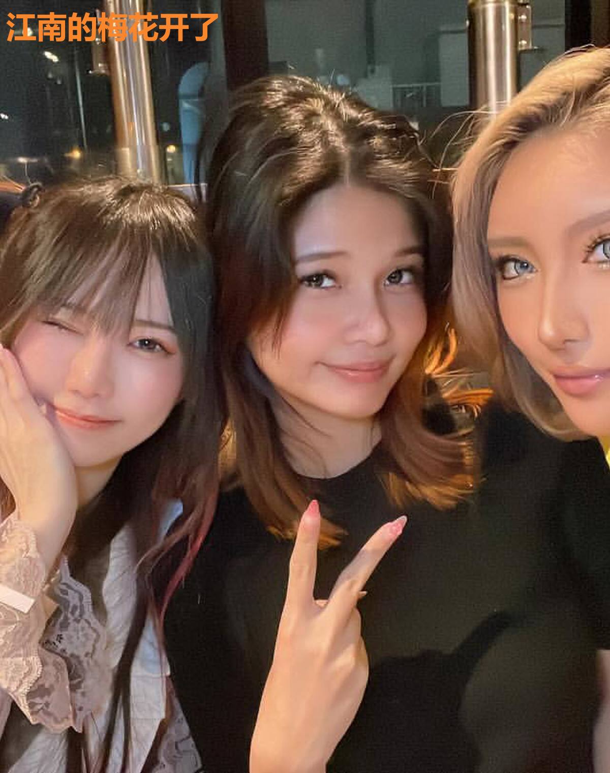 江南的梅花开了