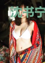 沈书宁傅经年