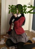 海贼之天选的救世主