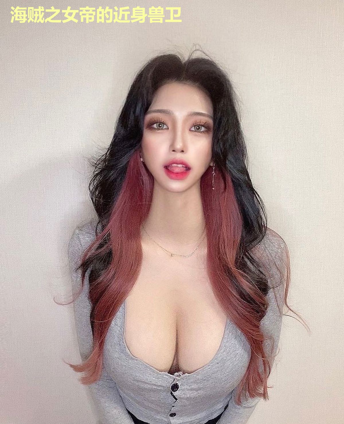 海贼之女帝的近身兽卫