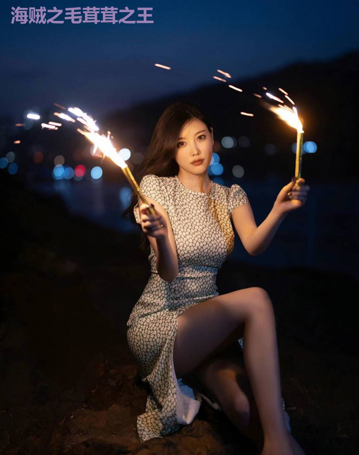 海贼之毛茸茸之王