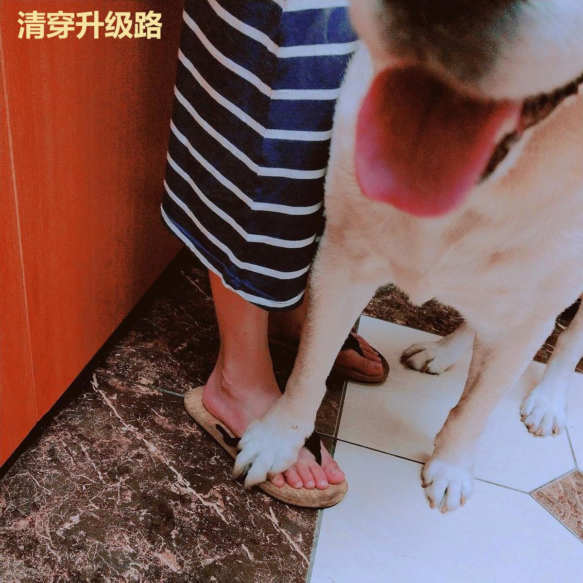 清穿升级路