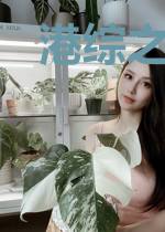 港综之无间道