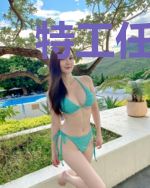 特工任务:拐个总裁当老婆林语冰