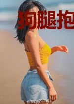 狗腿抱傲娇