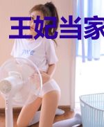 王妃当家闯天下