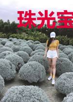 珠光宝妻宠不够安景顾战霆