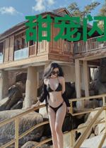 甜宠闪婚新妻季青城