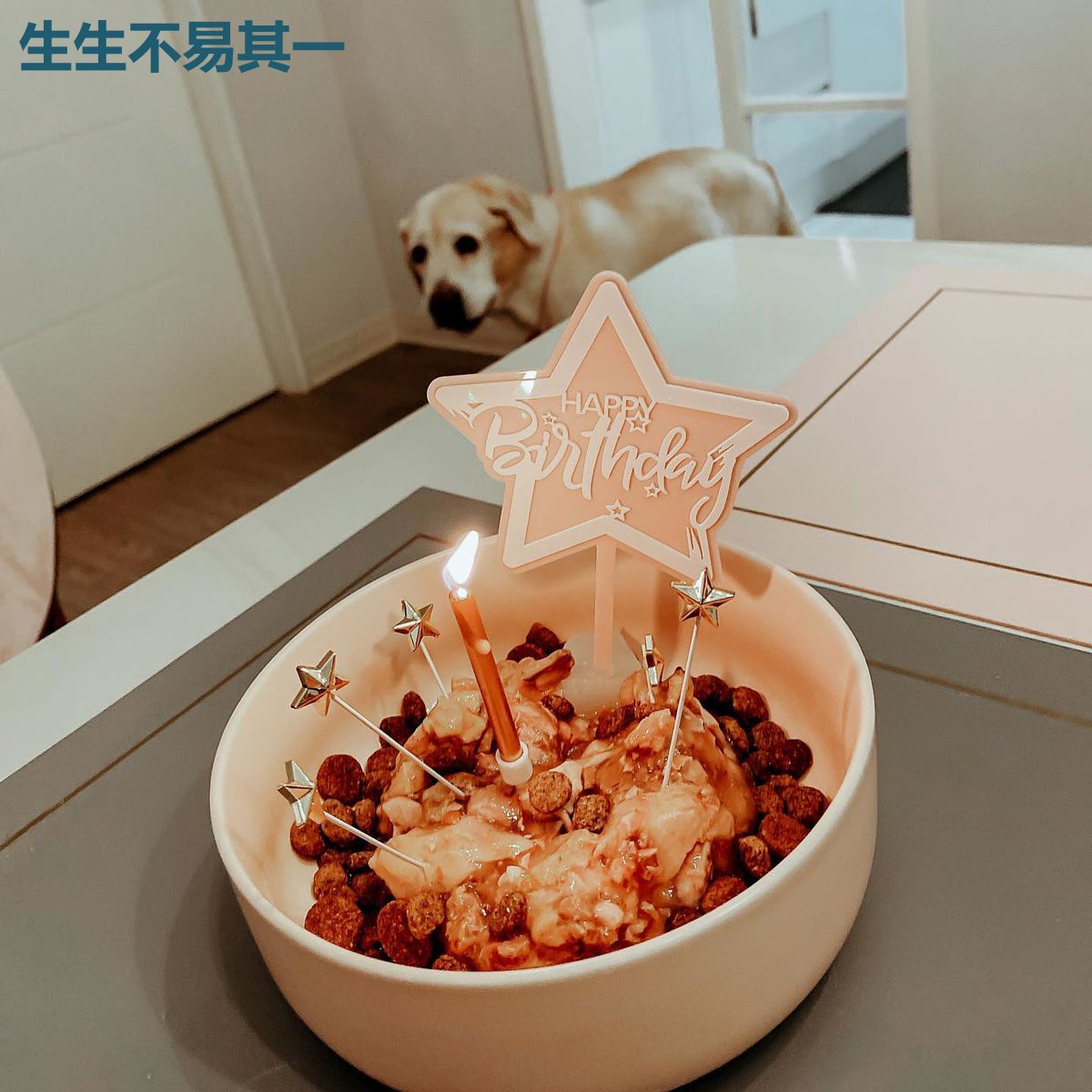 生生不易其一