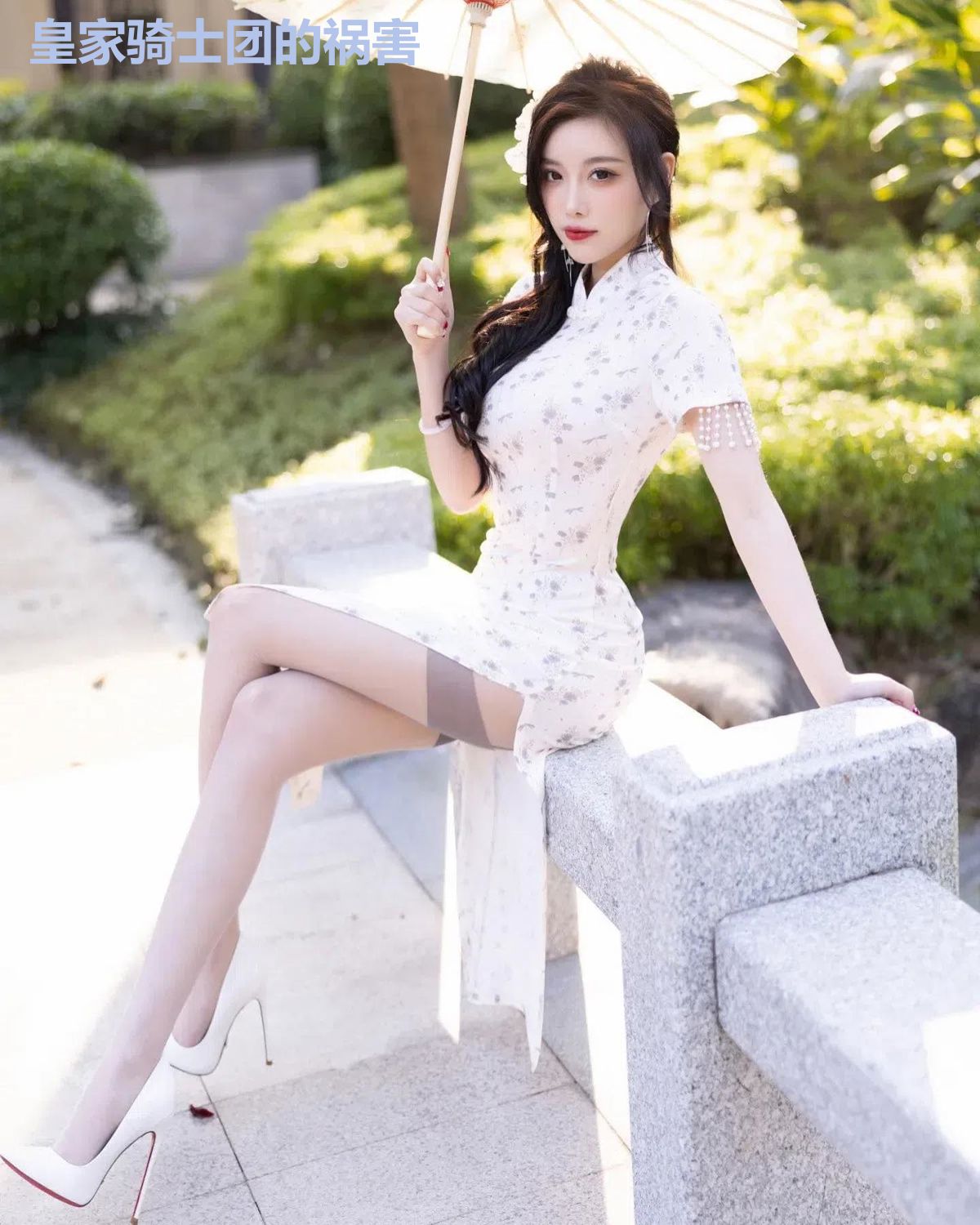 皇家骑士团的祸害
