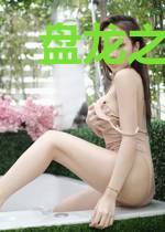 盘龙之风雷