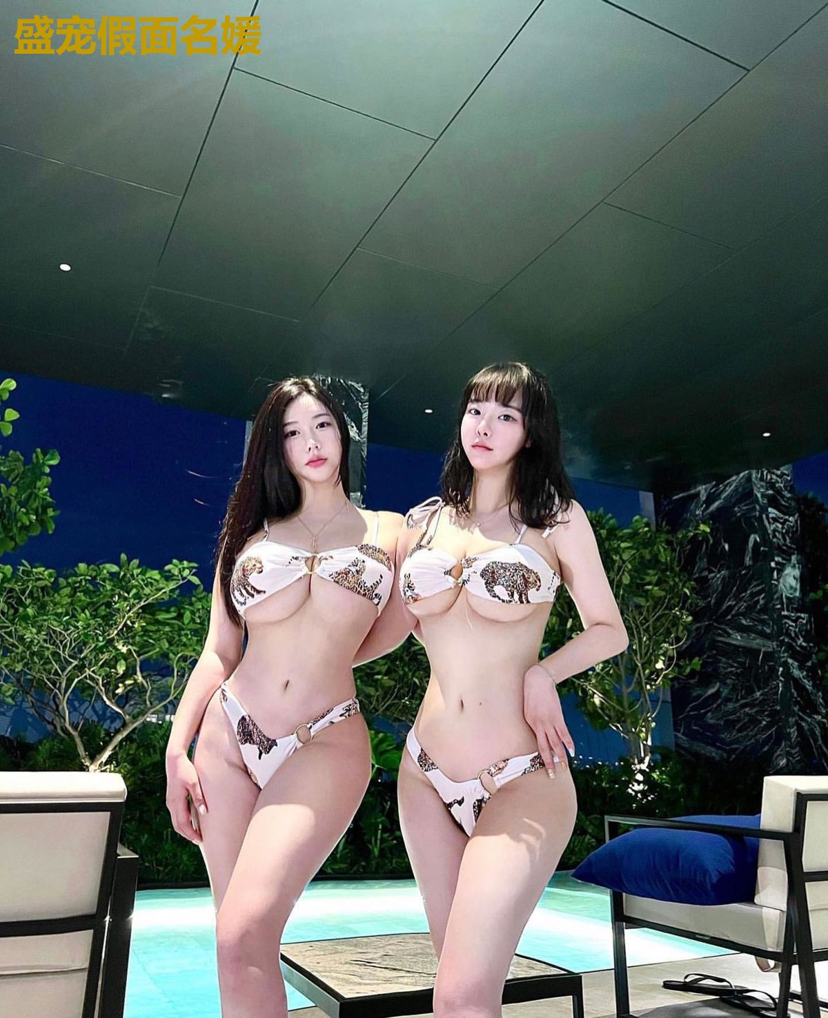 盛宠假面名媛