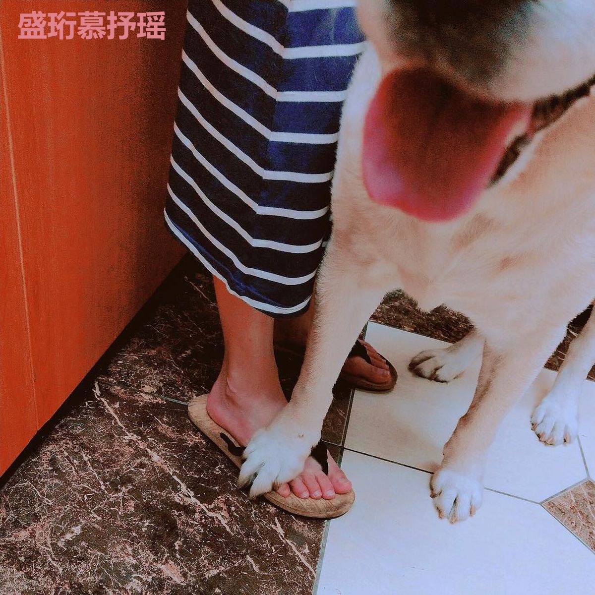 盛珩慕抒瑶