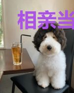 相亲当天和豪门大佬闪婚了