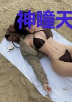 神瞳天医叶辰林婉儿