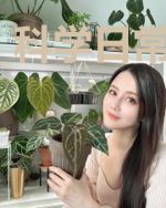 科学日常修仙传