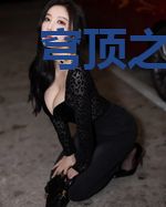 穹顶之上txt下载精校版