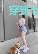 穿到七零开牧场