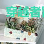 穿越者冒险记