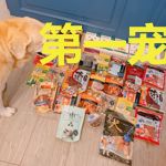 第一宠婚:战少,我不要!