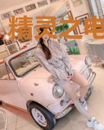 精灵之电气时代