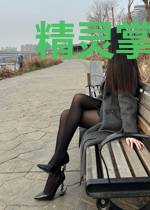 精灵掌门人