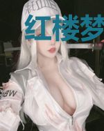 红楼梦外梦