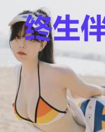 终生伴侣(娱乐圈)