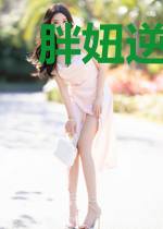 胖妞逆袭:穿越后带着全家奔小康