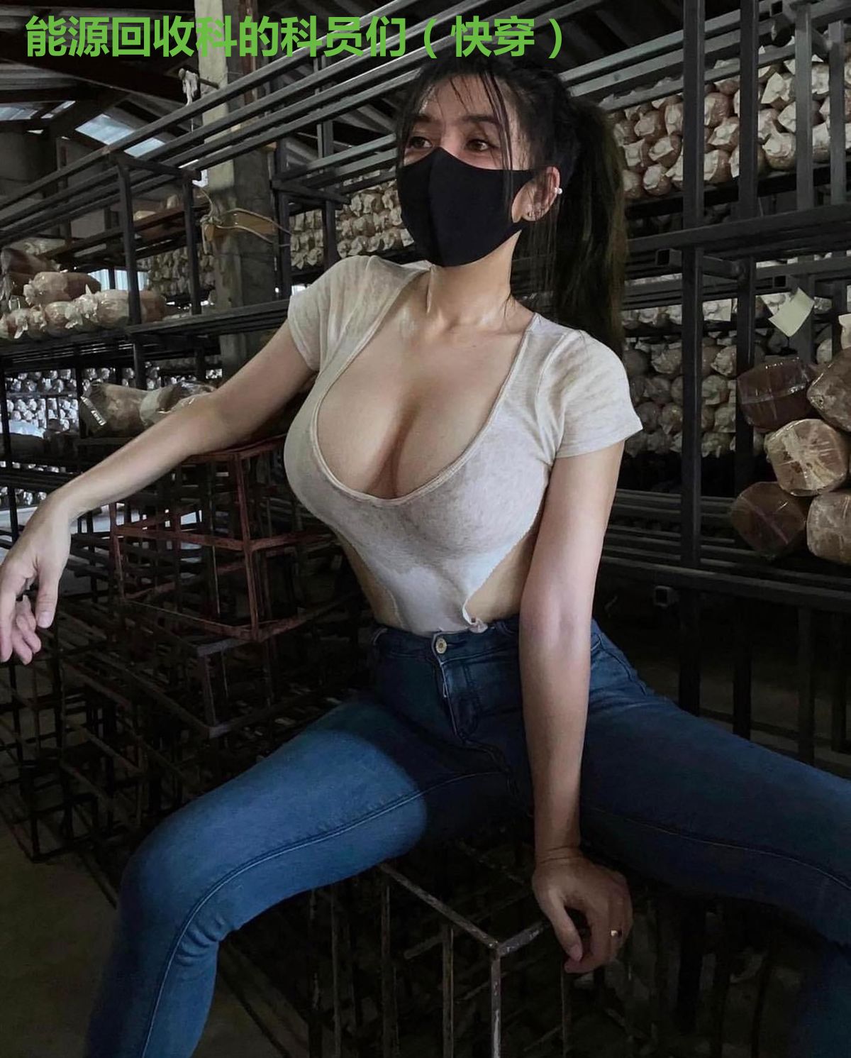 能源回收科的科员们(快穿)