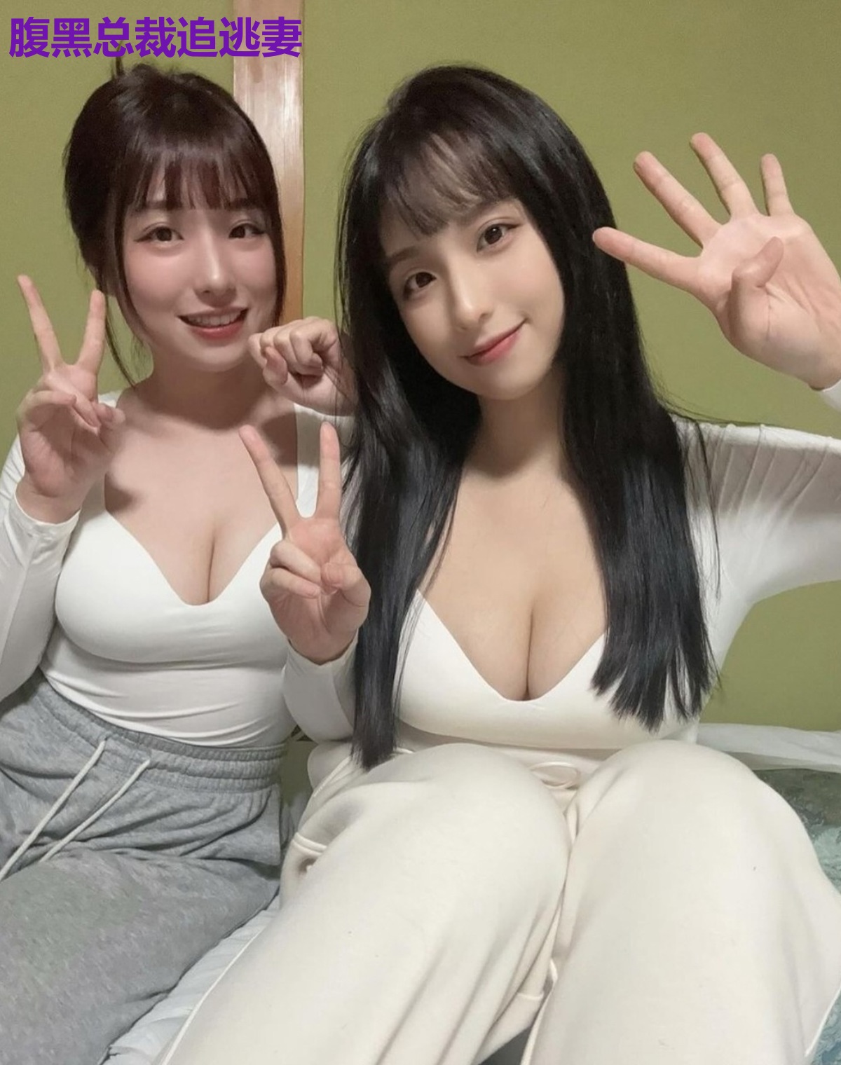 腹黑总裁追逃妻