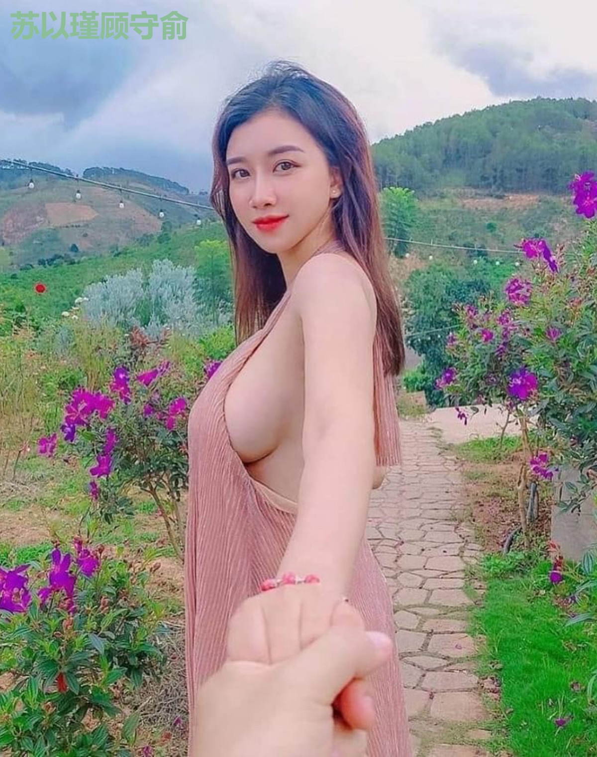 苏以瑾顾守俞