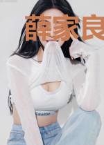 薛家良履职记