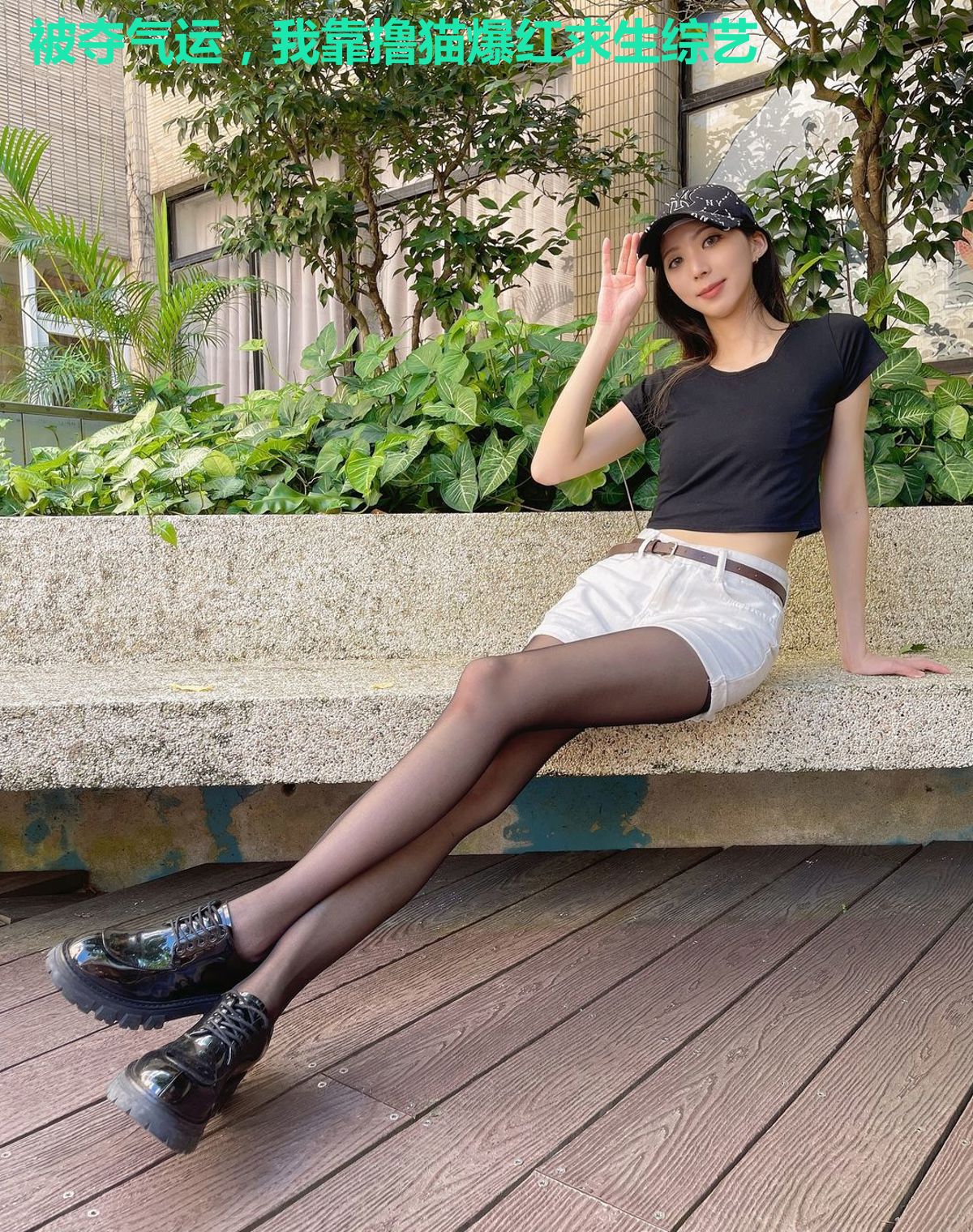 被夺气运，我靠撸猫爆红求生综艺