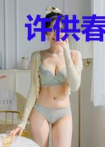 许供春唐铳