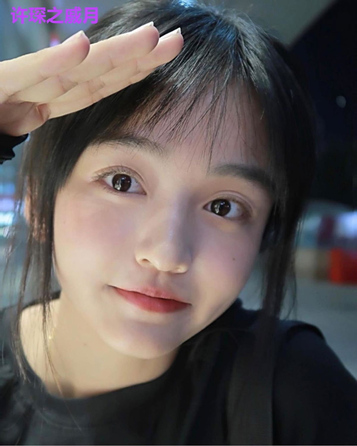 许琛之戚月