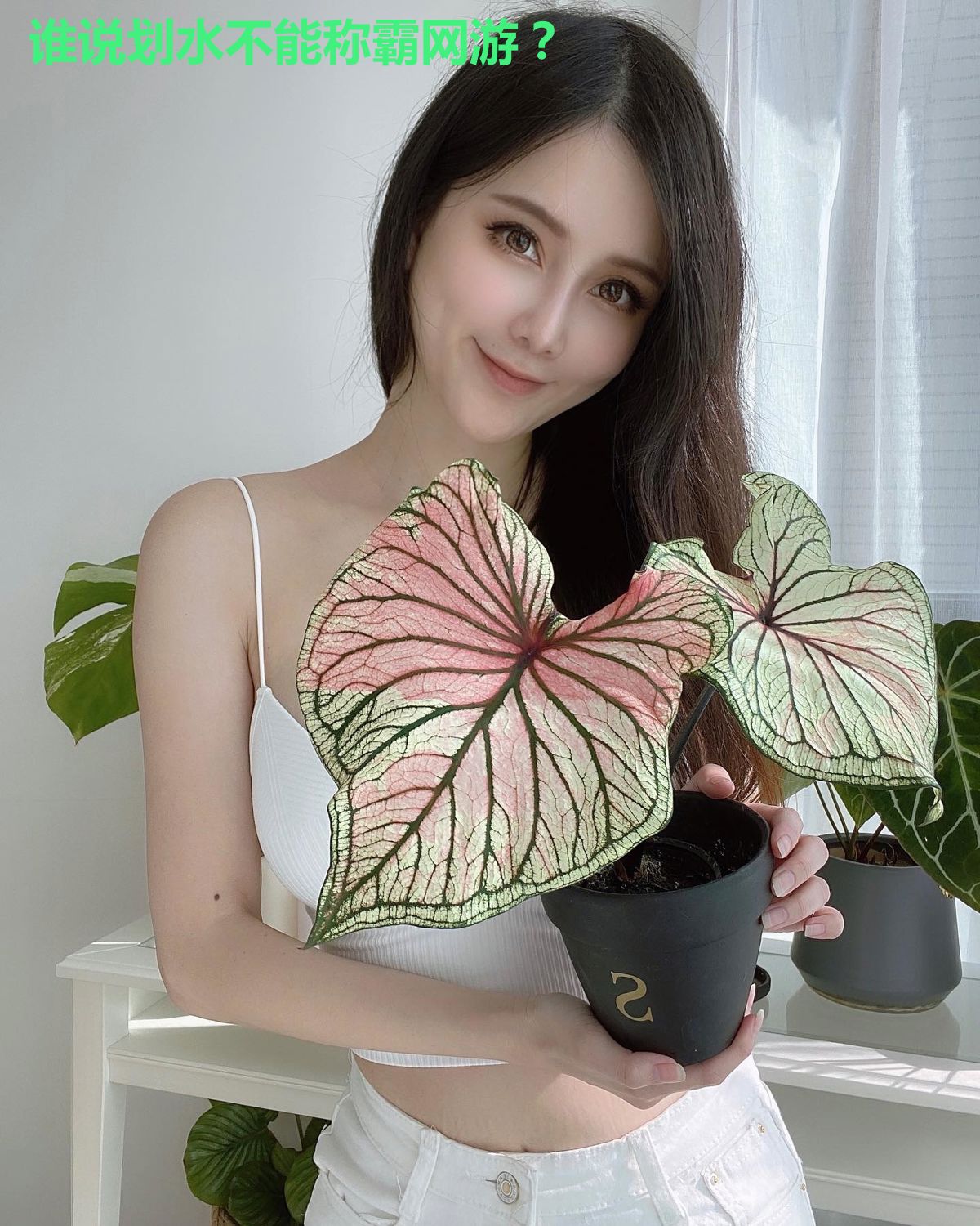 谁说划水不能称霸网游?