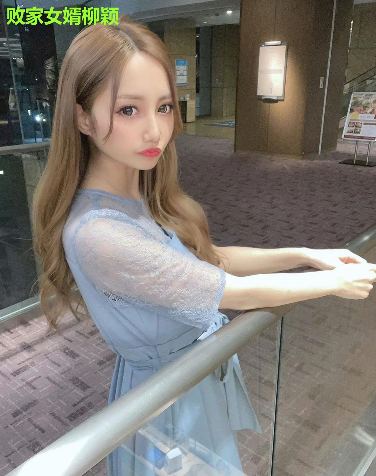 败家女婿柳颖