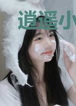 逍遥小医婿