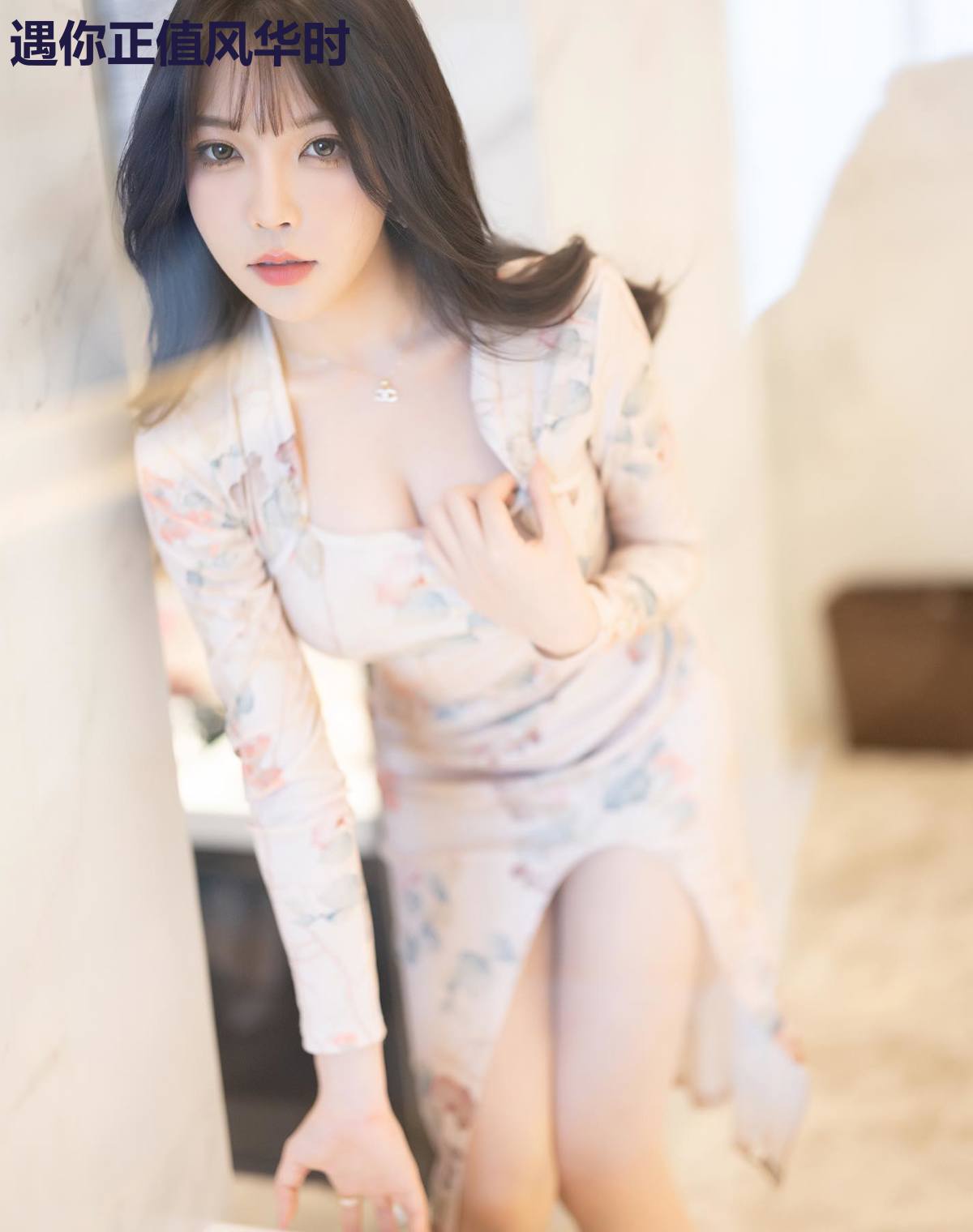 遇你正值风华时