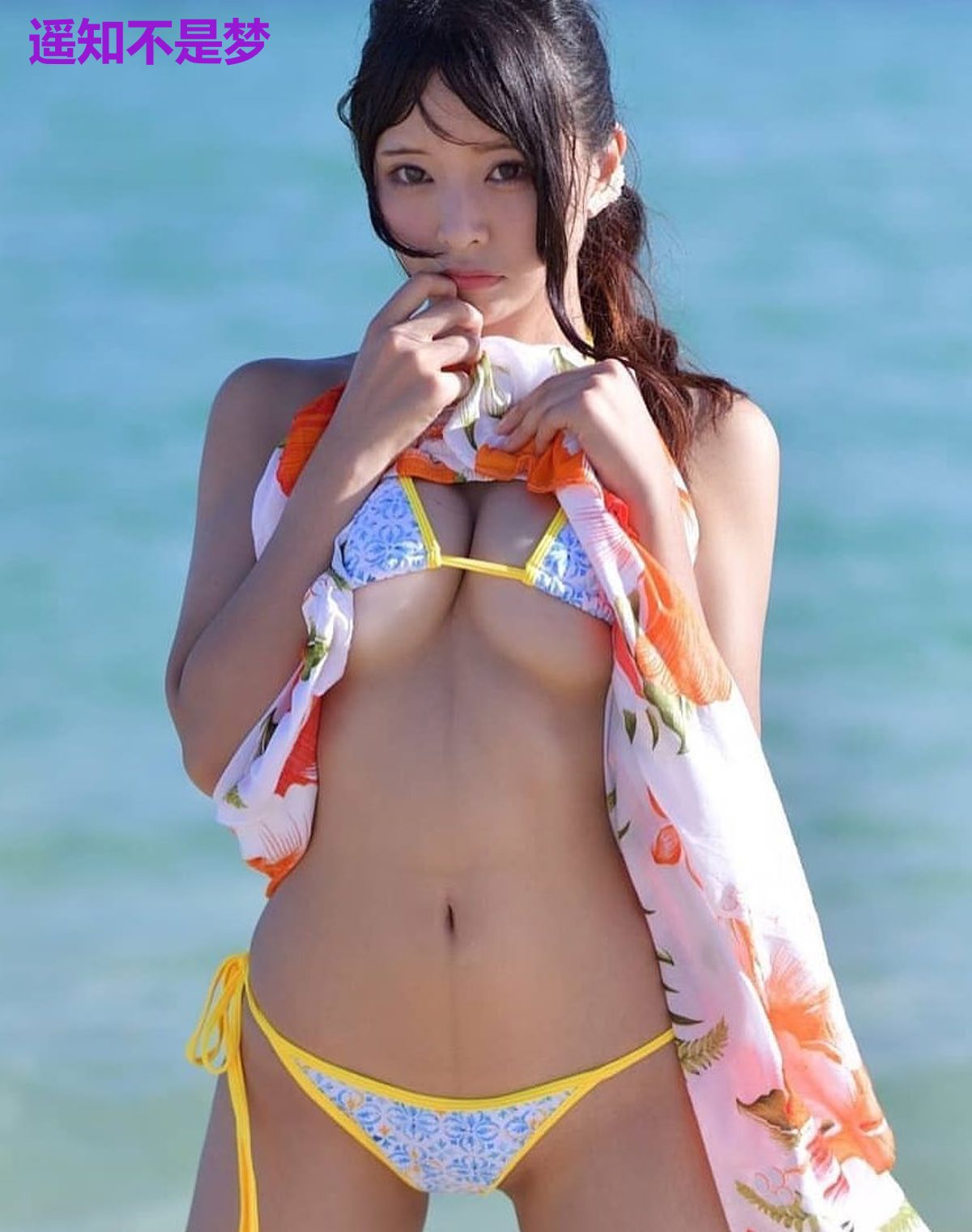 遥知不是梦