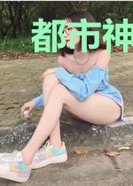 都市神奇宝贝系统