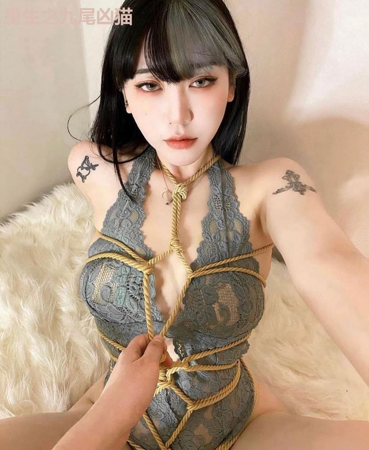 重生之九尾凶猫