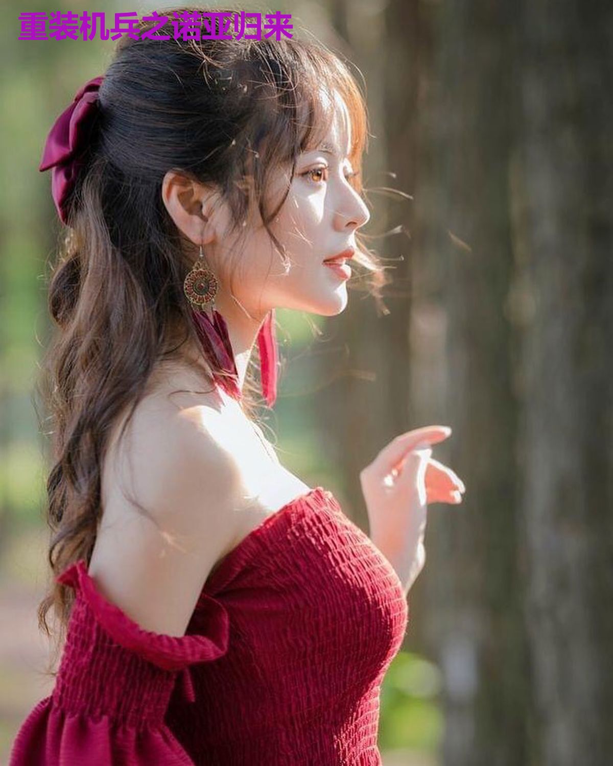 重装机兵之诺亚归来
