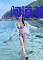 问道苍生秦奋玲珑
