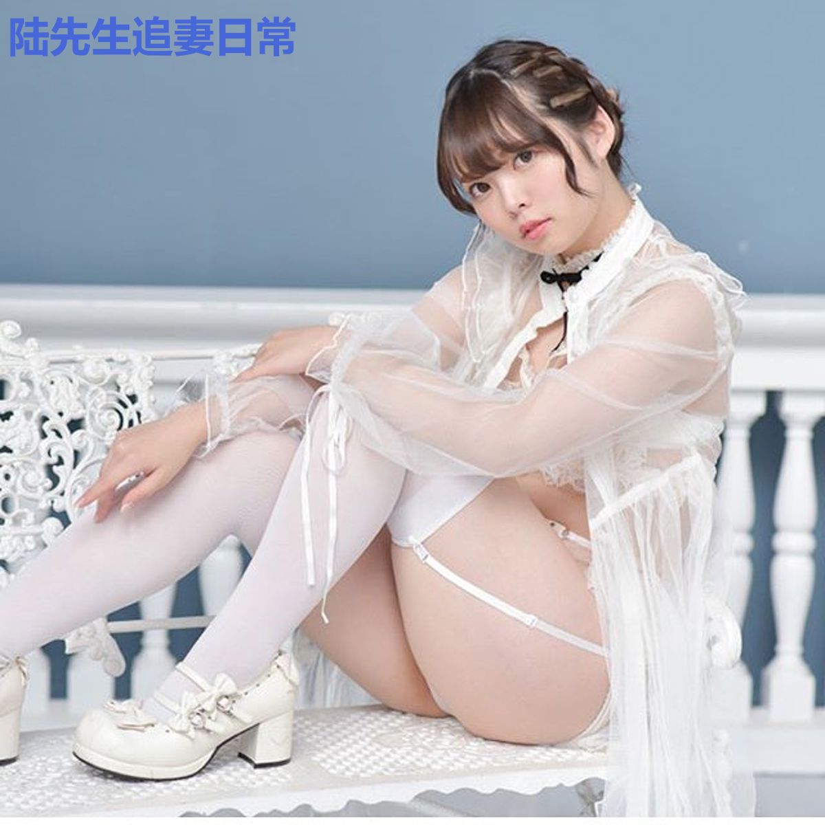 陆先生追妻日常