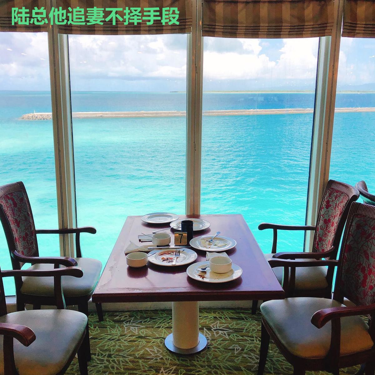 陆总他追妻不择手段